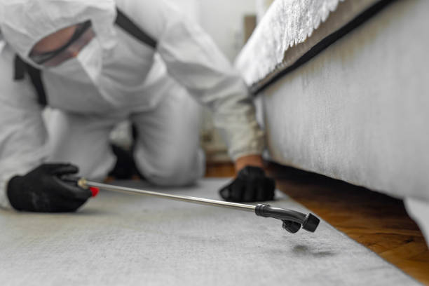 Professional Termite Control technician working in Basin, WY