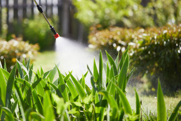 24/7 Emergency Termite Control experts in Basin, WY